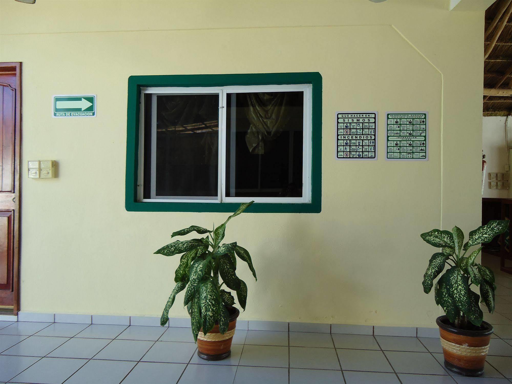 Oyo Hotel Palma Real Tulum Extérieur photo